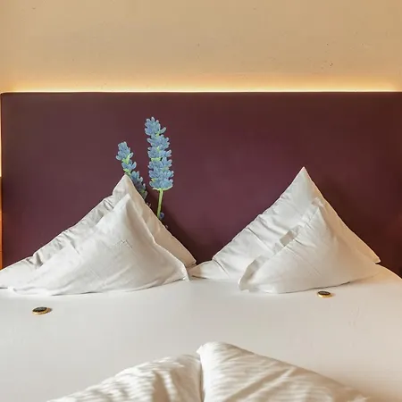 Kraeuterhotel Hochzillertal 4*