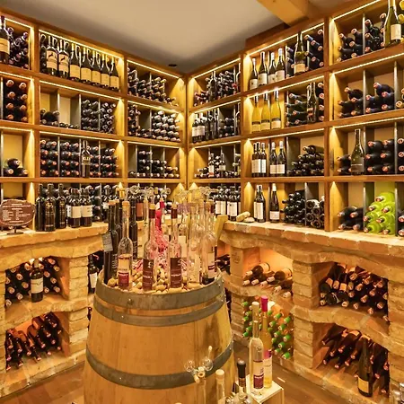 Kraeuterhotel Hochzillertal 호텔 4*